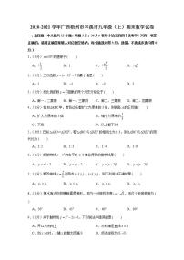 2020-2021学年广西梧州市岑溪市九年级（上）期末数学试卷