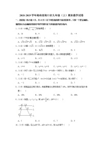 2018-2019学年海南省海口市九年级（上）期末数学试卷