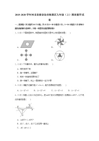 2019-2020学年河北省秦皇岛市海港区九年级（上）期末数学试卷