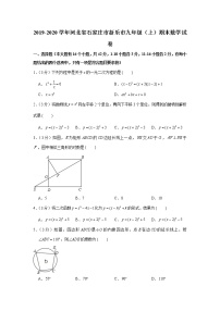 2019-2020学年河北省石家庄市新乐市九年级（上）期末数学试卷