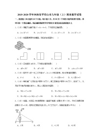 2019-2020学年河南省平顶山市九年级（上）期末数学试卷