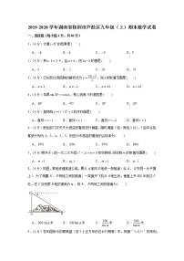 2019-2020学年湖南省株洲市芦淞区九年级（上）期末数学试卷