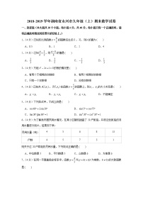 2018-2019学年湖南省永州市九年级（上）期末数学试卷