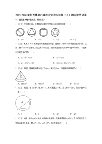 2019-2020学年吉林省白城市大安市九年级（上）期末数学试卷