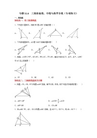 专题11.6 三角形高线、中线与角平分线（专项练习）-2021-2022学年八年级数学上册基础知识专项讲练（人教版）