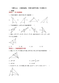专题11.6 三角形高线、中线与角平分线（专项练习）-2021-2022学年八年级数学上册基础知识专项讲练（人教版）