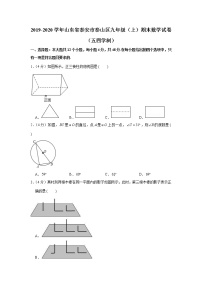 2019-2020学年山东省泰安市泰山区九年级（上）期末数学试卷（五四学制）