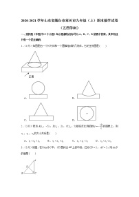 2020-2021学年山东省烟台市莱州市九年级（上）期末数学试卷（五四学制）