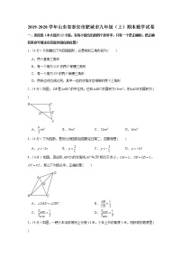 2019-2020学年山东省泰安市肥城市九年级（上）期末数学试卷