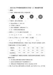 2020-2021学年陕西省咸阳市九年级（上）期末数学试卷