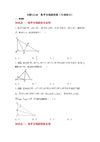 专题12.10 角平分线的性质（专项练习）-2021-2022学年八年级数学上册基础知识专项讲练（人教版）