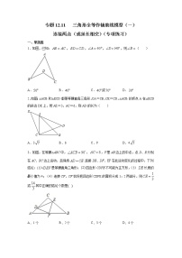 专题12.11 三角形全等作辅助线模型（一）-连接两点（或延长相交）（专项练习）-2021-2022学年八年级数学上册基础知识专项讲练（人教版）