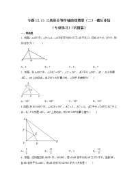 专题12.13 三角形全等作辅助线模型（二）-截长补短（专项练习）（巩固篇）-2021-2022学年八年级数学上册基础知识专项讲练（人教版）