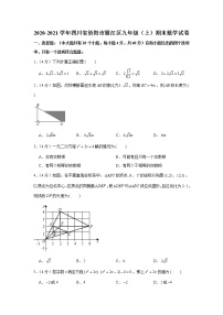 2020-2021学年四川省资阳市雁江区九年级（上）期末数学试卷