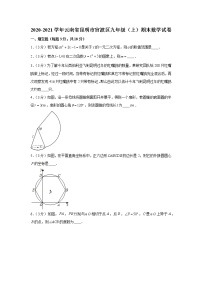 2020-2021学年云南省昆明市官渡区九年级（上）期末数学试卷