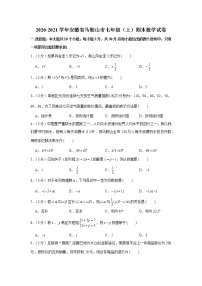 2020-2021学年安徽省马鞍山市七年级（上）期末数学试卷