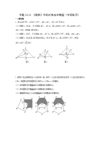 专题23.11 《旋转》中的对角互补模型（专项练习）-2021-2022学年九年级数学上册基础知识专项讲练（人教版）