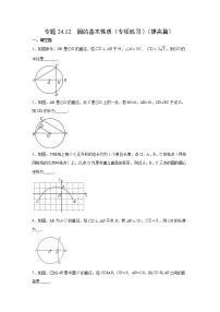 专题24.12 圆的有关性质（专项练习）（提高篇）-2021-2022学年九年级数学上册基础知识专项讲练（人教版）