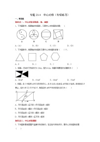 专题23.4 中心对称（专项练习）-2021-2022学年九年级数学上册基础知识专项讲练（人教版）