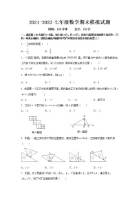 江苏省连云港市灌云县2021-2022学年七年级上学期期末模拟数学试卷（word版 含答案）