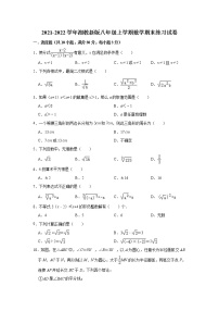 2021-2022学年湘教版八年级上册数学期末练习试卷 （word版 含答案）