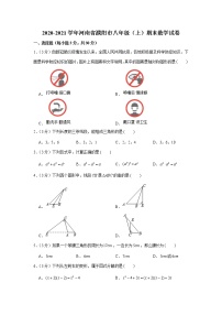 河南省濮阳市2020-2021学年八年级上学期期末数学试卷（word版 含答案）