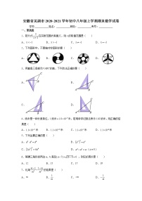 2020-2021学年安徽省芜湖市初中八年级上学期期末数学试卷（含答案与解析）