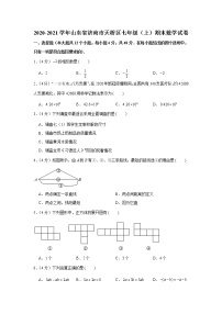 2020-2021学年山东省济南市天桥区七年级（上）期末数学试卷