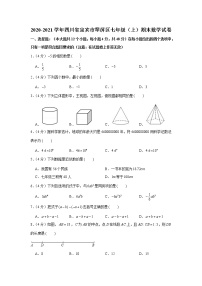 2020-2021学年四川省宜宾市翠屏区七年级（上）期末数学试卷