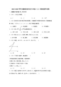 2019-2020学年安徽省宿州市八年级（上）期末数学试卷