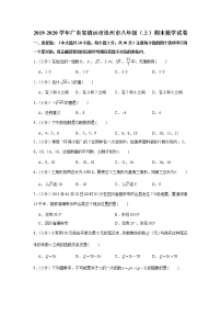 2019-2020学年广东省清远市连州市八年级（上）期末数学试卷