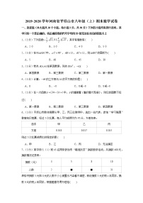 2019-2020学年河南省平顶山市八年级（上）期末数学试卷