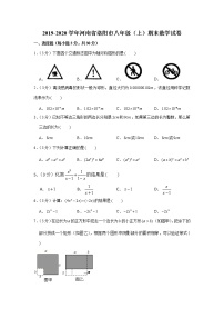 2019-2020学年河南省洛阳市八年级（上）期末数学试卷