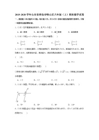 2019-2020学年山东省青岛市崂山区八年级（上）期末数学试卷