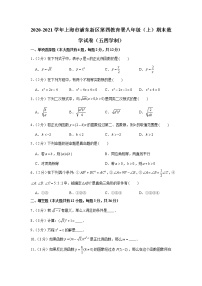 2020-2021学年上海市浦东新区第四教育署八年级（上）期末数学试卷（五四学制）