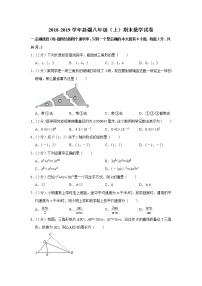 2018-2019学年新疆八年级（上）期末数学试卷