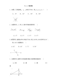 初中5.1.1 相交线综合训练题