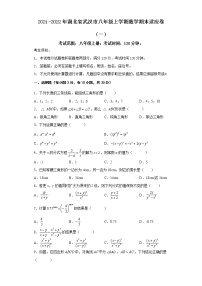 2021-2022年湖北省武汉市八年级上学期数学期末适应卷（一）