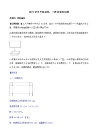 2022届中考数学专题复习训练——二次函数 专题3.3二次函数应用之面积问题学案