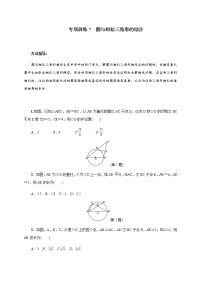 专项训练7 圆与相似三角形的综合