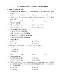 2021年北京海淀区北京十一晋元中学七年级下期末数学试卷