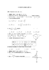 中考数学模拟试题与答案29