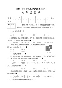 河南周口川汇区2019-2020学年上期期末统考试卷人教版七年级数学（试卷+答案）