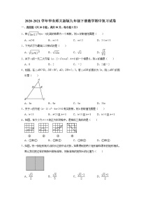 2020-2021学年九年级数学华东师大版下册期中复习试卷