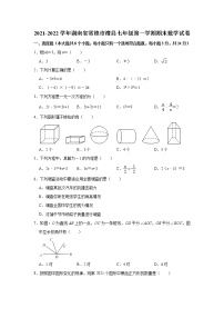 湖南省常德市澧县2021-2022学年七年级上学期期末考试数学试题（word版 含答案）