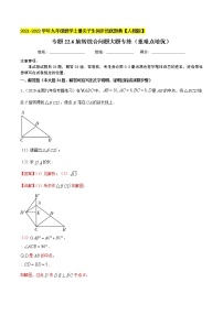 专题23.6旋转综合问题大题专练（重难点培优）-2021-2022学年九年级数学上册同步培优题典（解析版）【人教版】