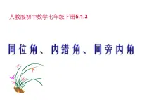 2020-2021学年第五章 相交线与平行线5.1 相交线5.1.3 同位角、内错角、同旁内角教课内容课件ppt