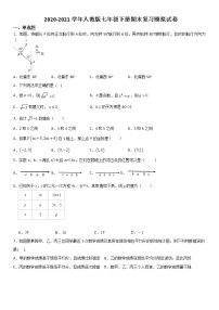 2020-2021学年人教版七年级数学下册期末复习试卷（Word版，无答案）