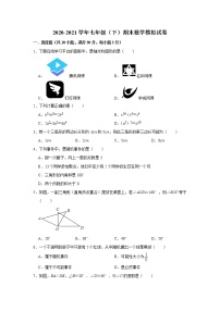 广东省佛山市禅城区2020-2021学年七年级下学期期末数学模拟试卷 - 含答案