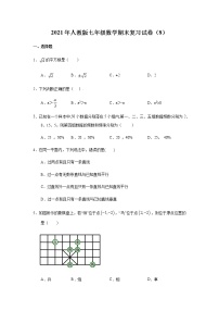 2020--2021学年人教版七年级数学下期末复习试卷（8）（word版无答案）